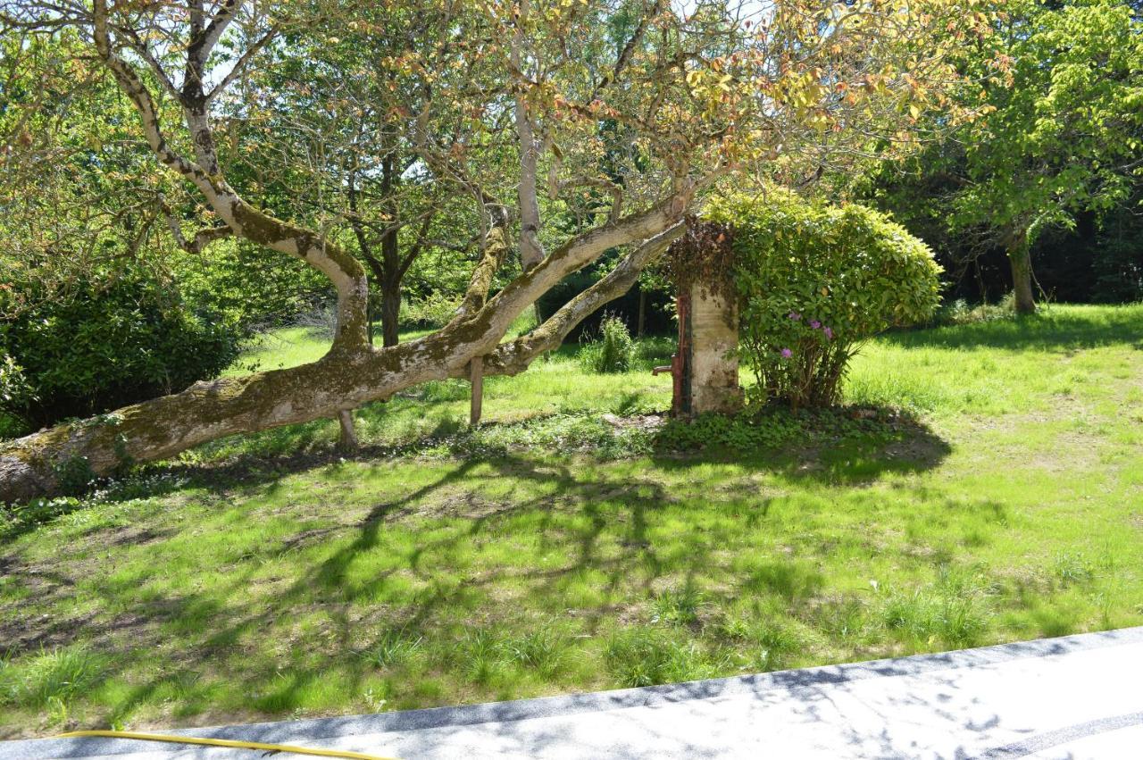 Maison Typique - Tres Grand Jardin - 7Km De La Mer Fontaine-Henry Bagian luar foto